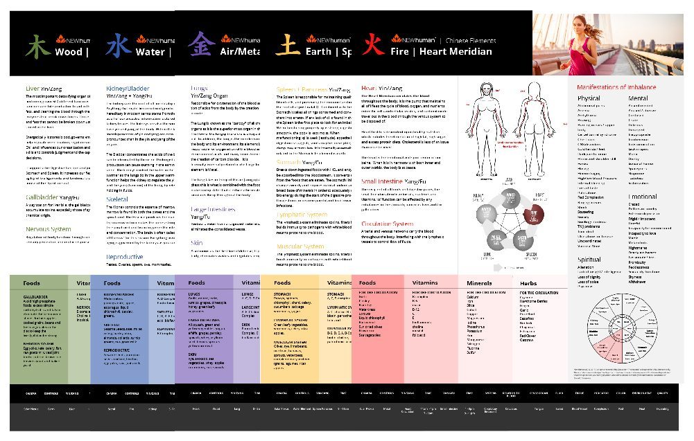 16" x 20" Chinese Element Series Foam Board Posters (Set of 5)