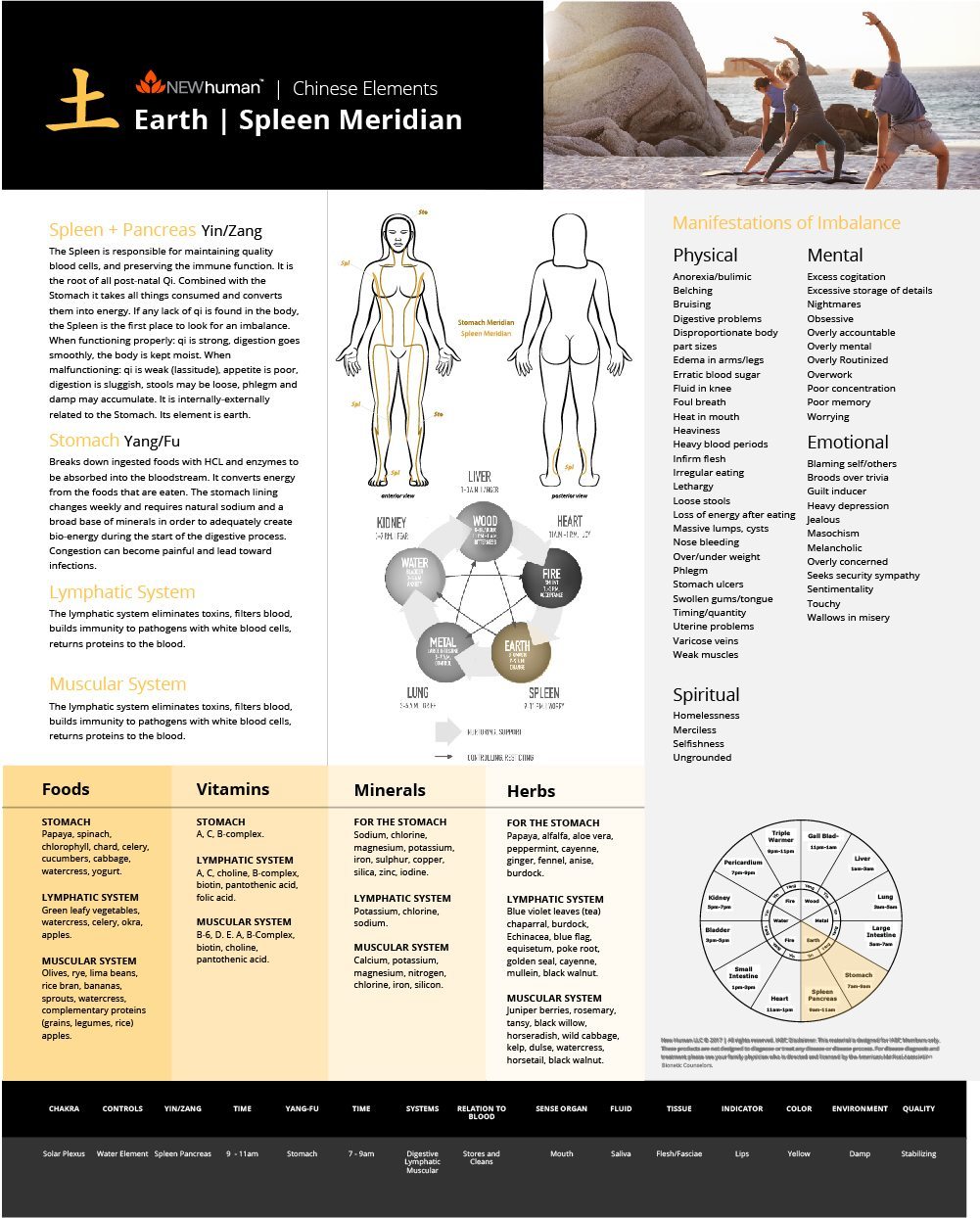 16" x 20" Chinese Element Series Foam Board Posters (Set of 5) - Image 3