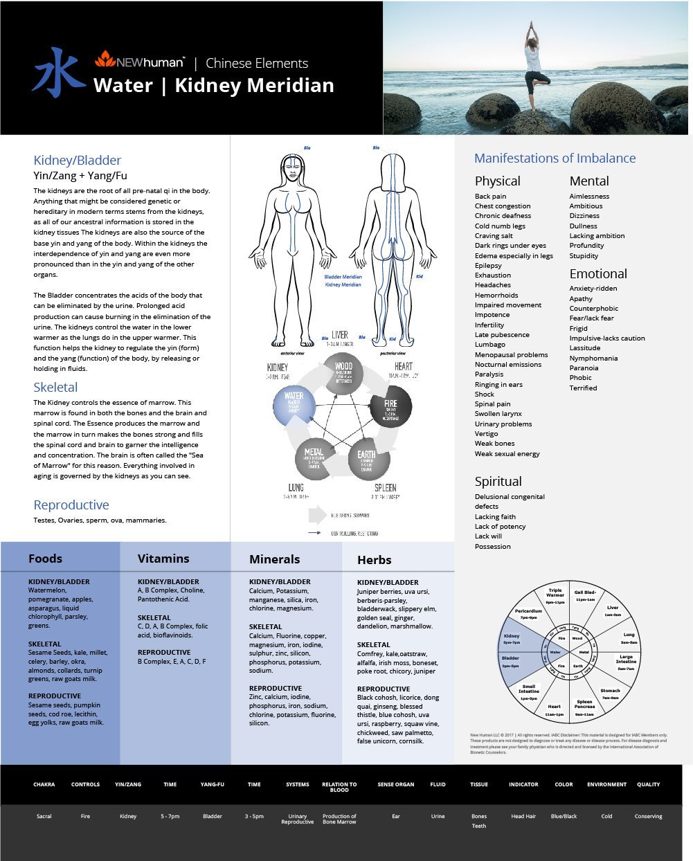 16" x 20" Chinese Element Series Foam Board Posters (Set of 5) - Image 5