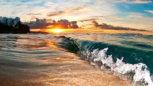 Emotions & Wellbeing